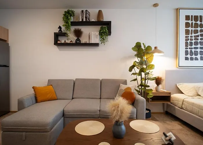 Apartment Modern In The Heart Of Playa del Carmen
