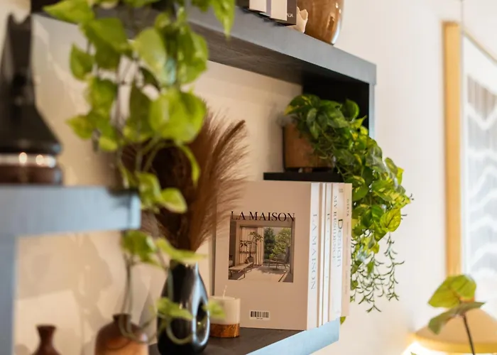 Apartamento Modern In The Heart Of Playa del Carmen